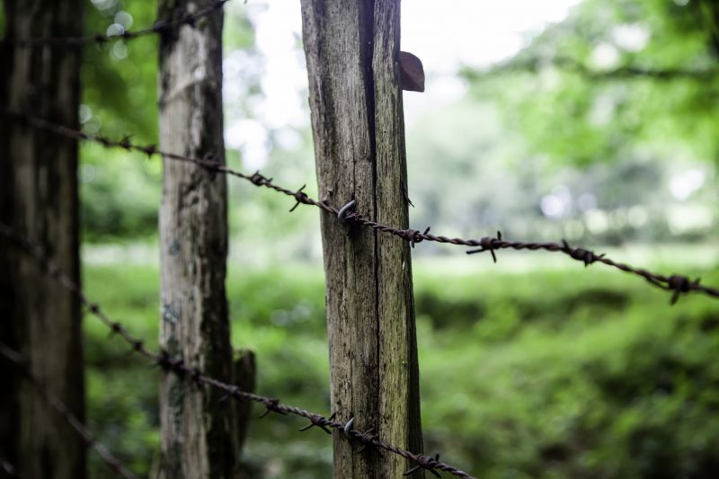 Replacing Old Barbed Wire