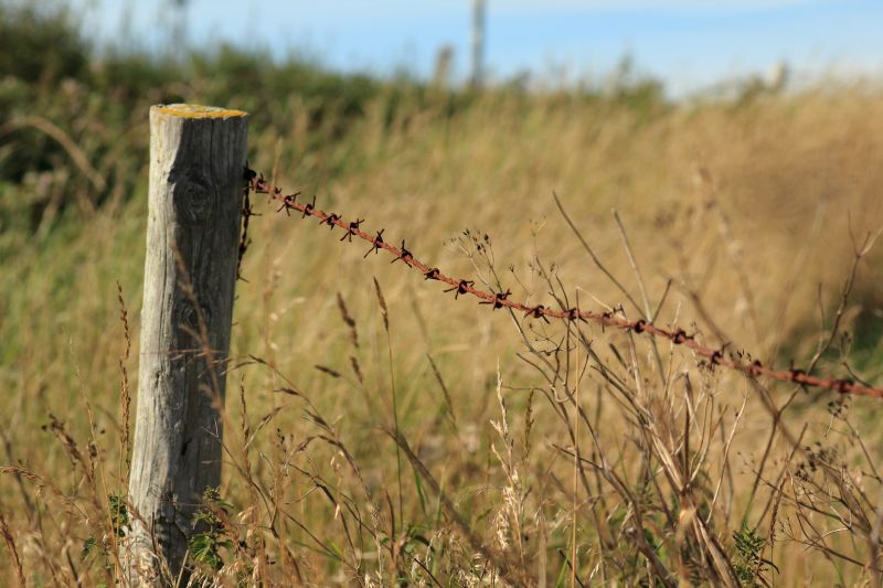 Fall Fence Maintenance